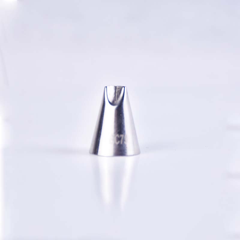 BC79 Icing Nozzle Stainless Steel