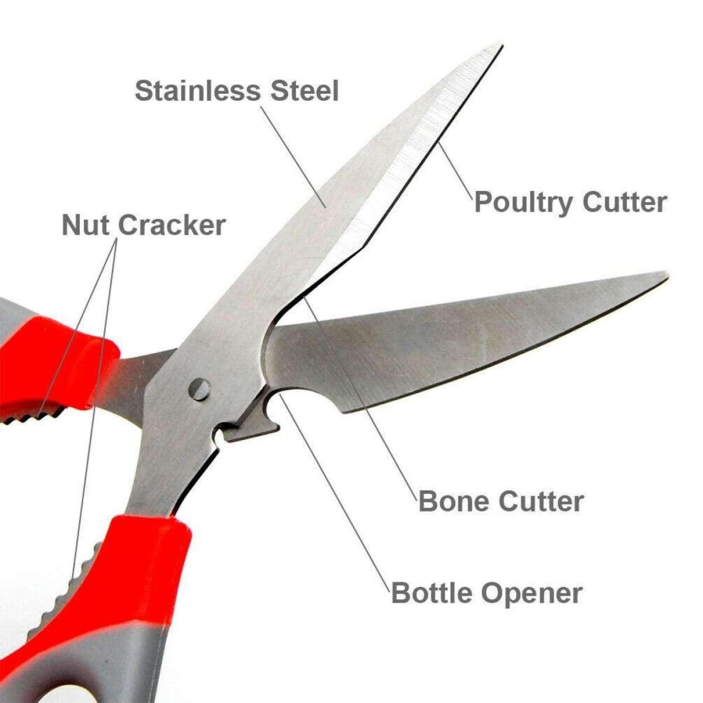 Multi Function Kitchen Scissors