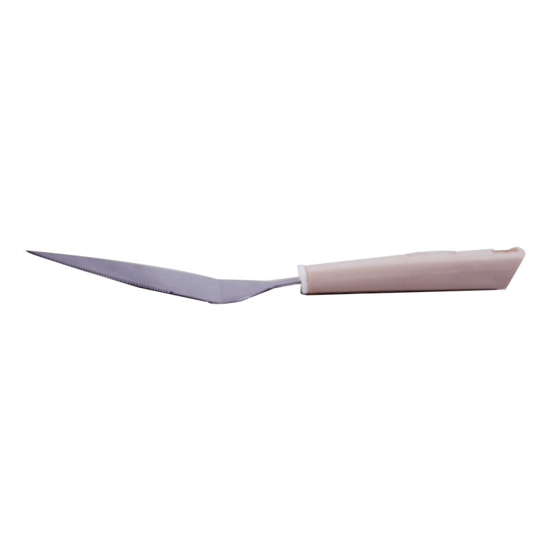 Smart Kitchen Cake & Pizza Slice Lifter & One Side Serrated Slicer