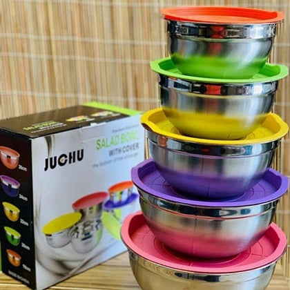 Stainless Steel Salad Bowl With Plastic Cover 5Pcs Set