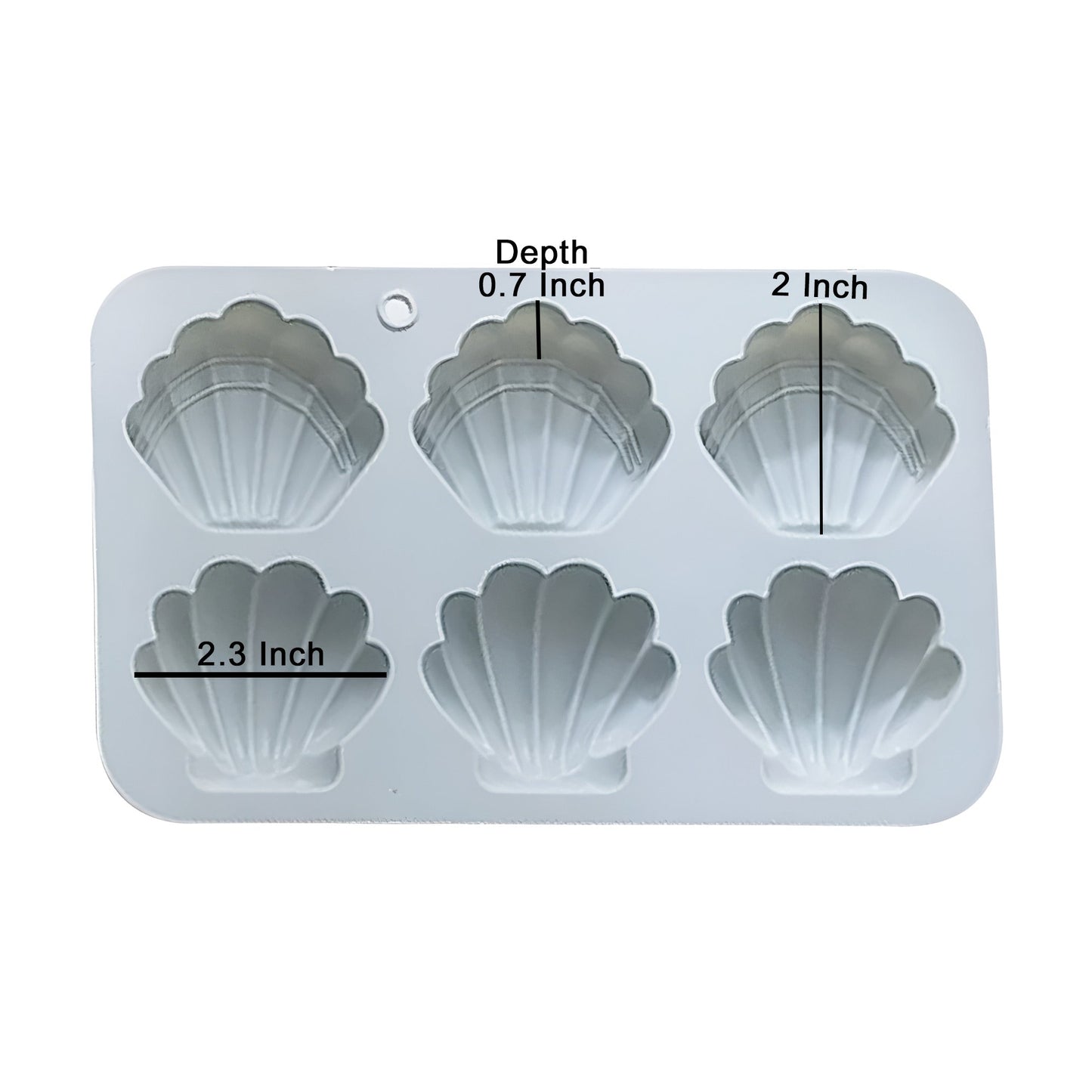 Shell Shape Silicone Fondant & Chocolate Mold 6 Cavity