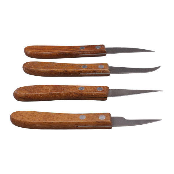 Mini Fruit Knife 4Pcs Set