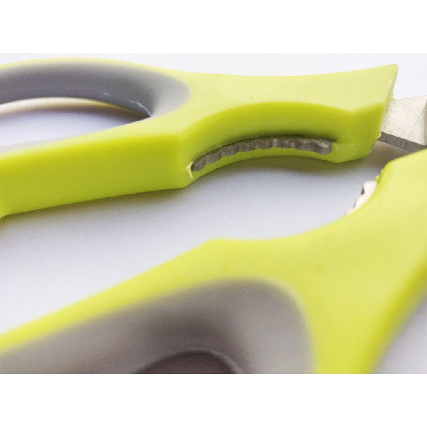 Stainless Steel Scissor with Cover