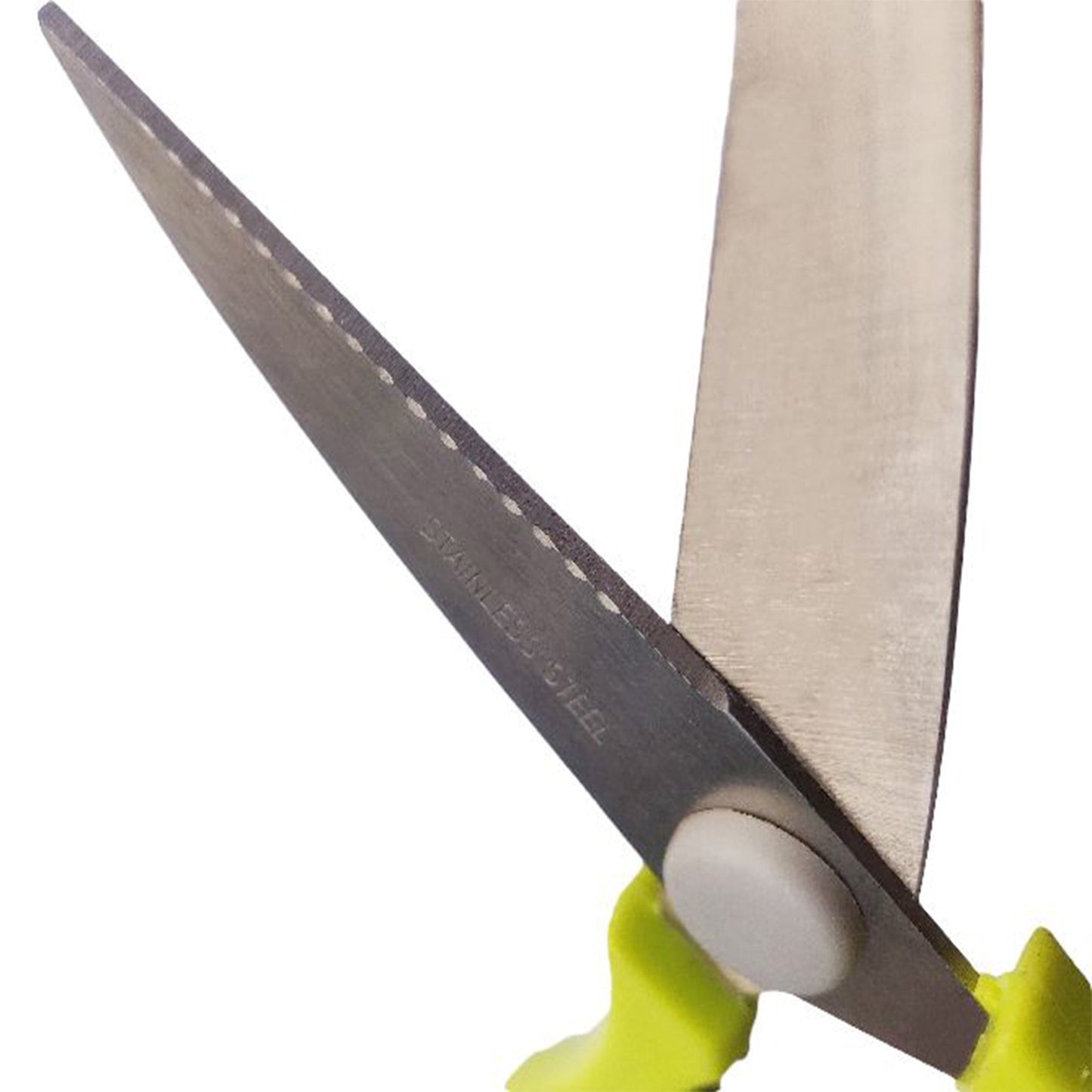 Stainless Steel Scissor with Cover