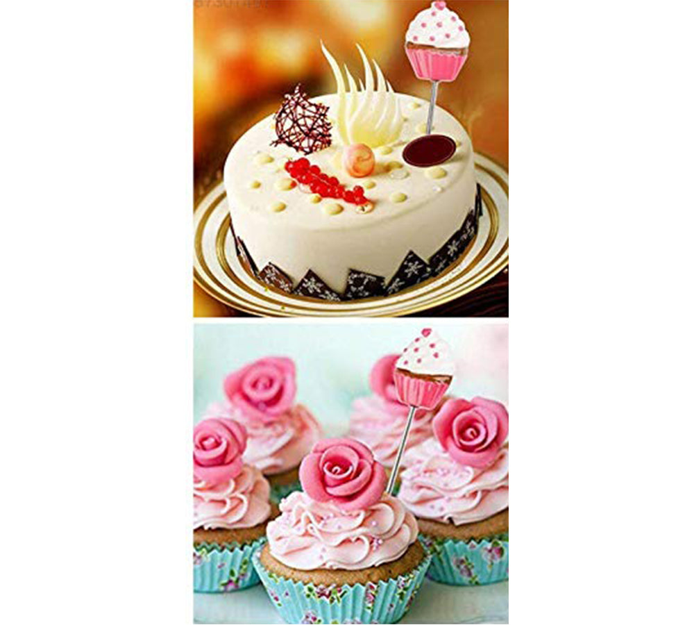 Icecream Design Cake Tester Stainless Steel With Plastic Handle