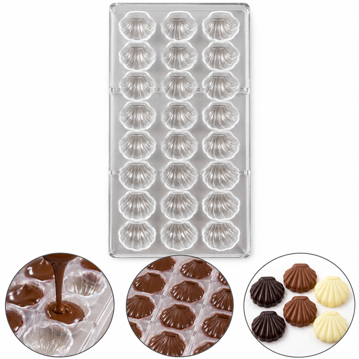 Sea Shell Shape Acrylic Chocolate Mold 24 Cavity
