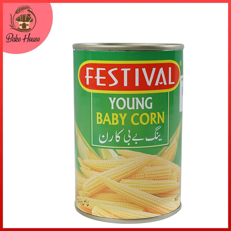 Festival Young Baby Corn 380gm Tin