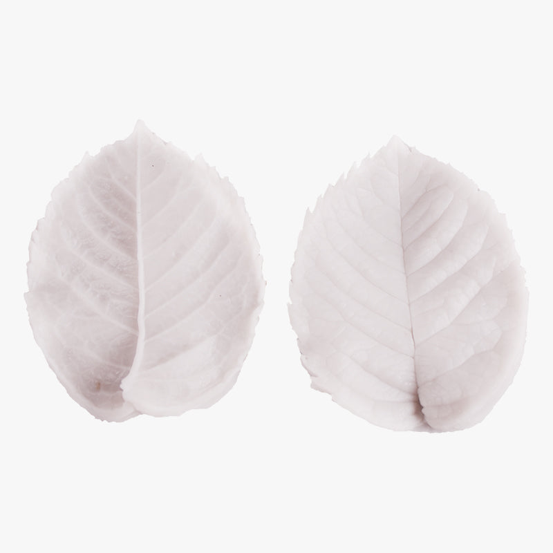 Leaves Emboss Silicone Fondant Mold 2Pcs Set